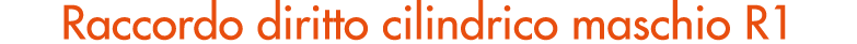 Raccordo diritto cilindrico maschio R1 