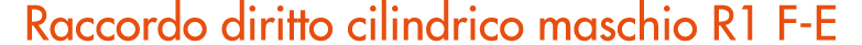 Raccordo diritto cilindrico maschio R1 F E