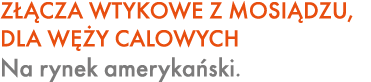 Z CZA WTYKOWE Z MOSI DZU, DLA W  Y CALOWYCH Na rynek ameryka ski.