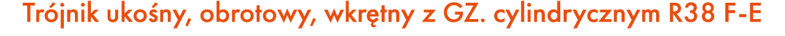 Tr jnik uko ny, obrotowy, wkr tny z GZ. cylindrycznym R38 F E