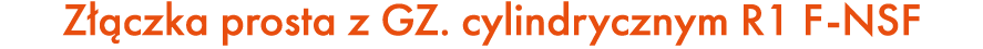 Z czka prosta z GZ. cylindrycznym R1 F NSF
