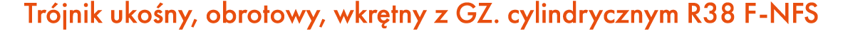 Tr jnik uko ny, obrotowy, wkr tny z GZ. cylindrycznym R38 F NFS